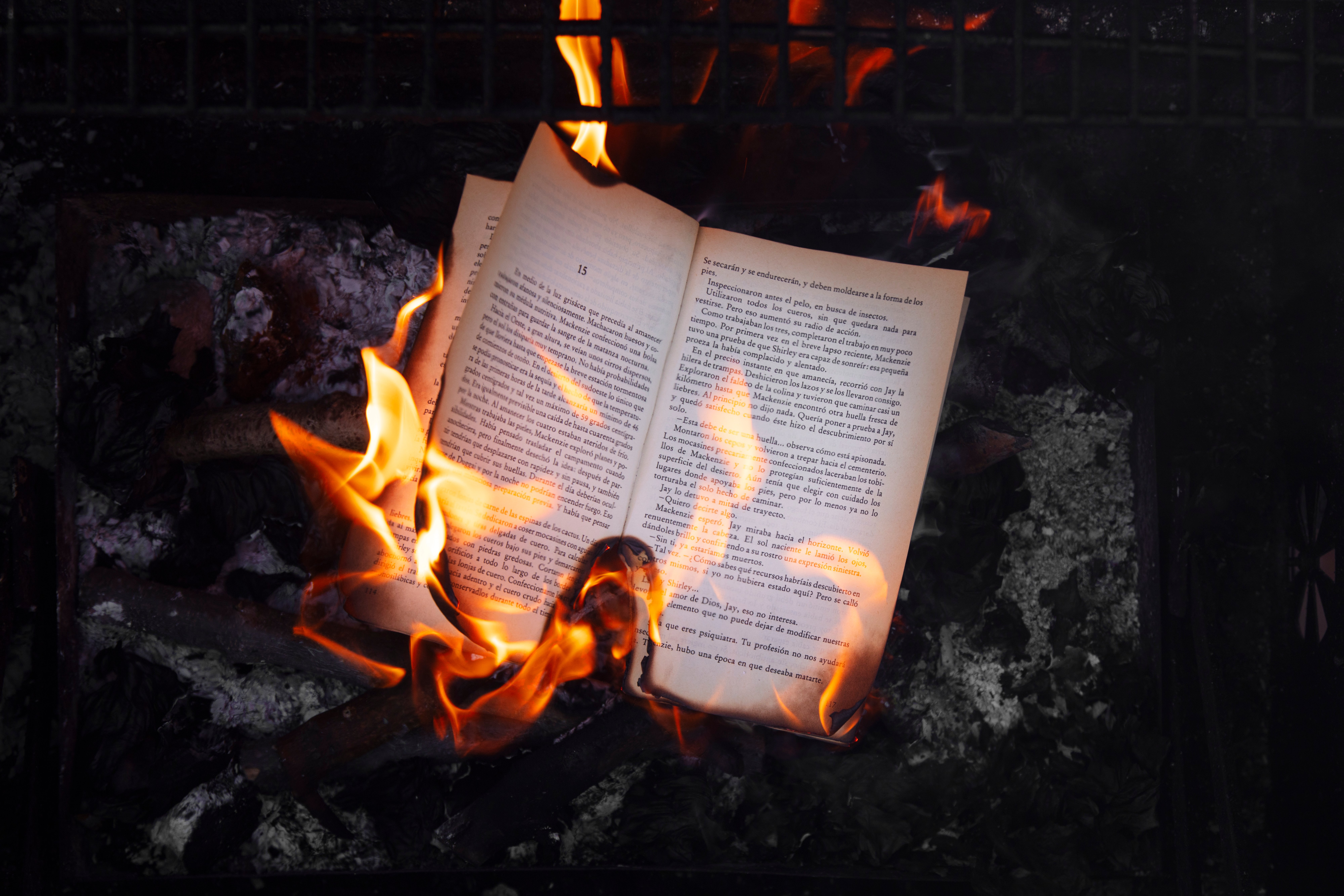 Sometimes It’s a Metaphor, Sometimes It’s Tuesday